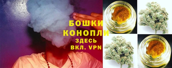 стафф Приозерск